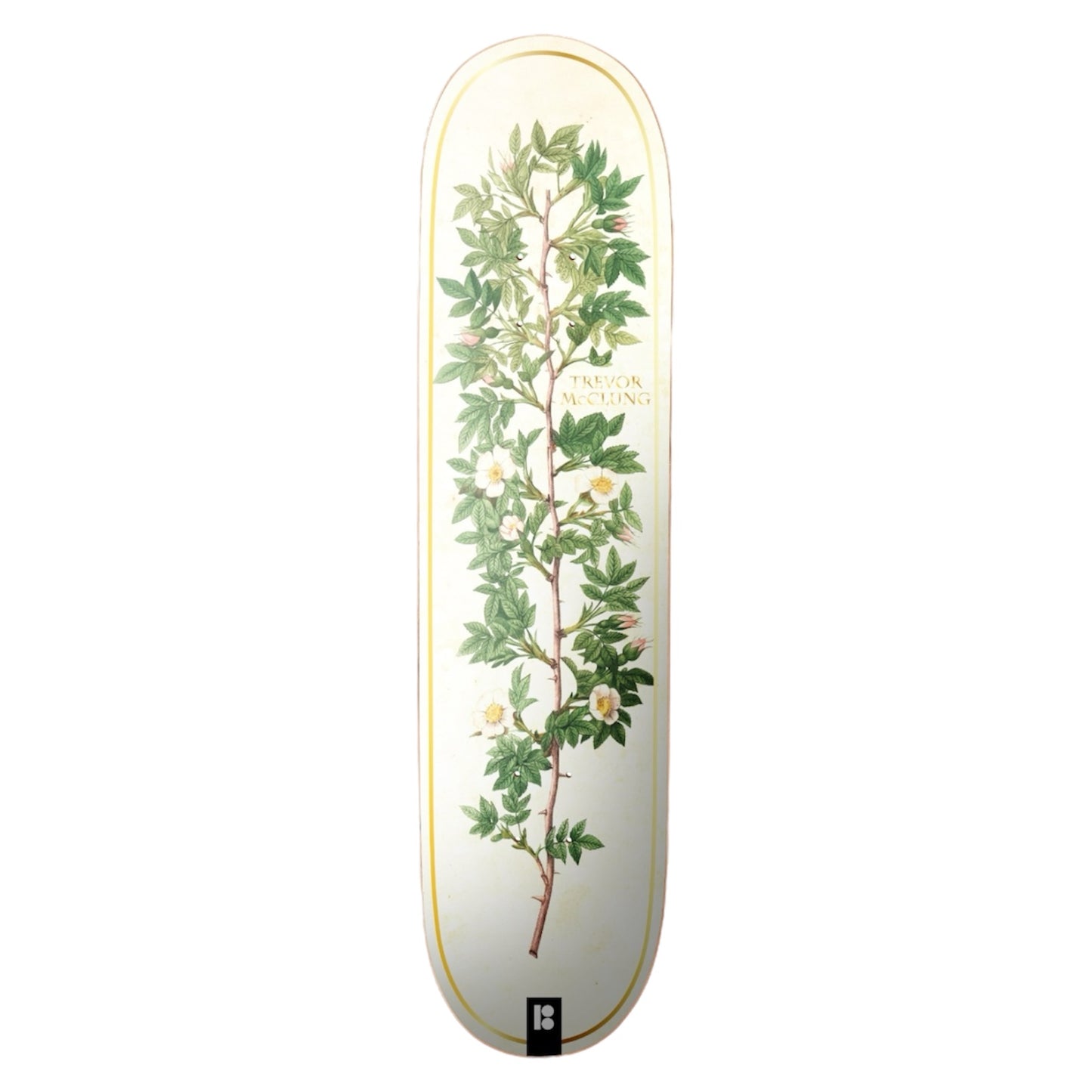 Plan B Bloom Mcclung 8.0″