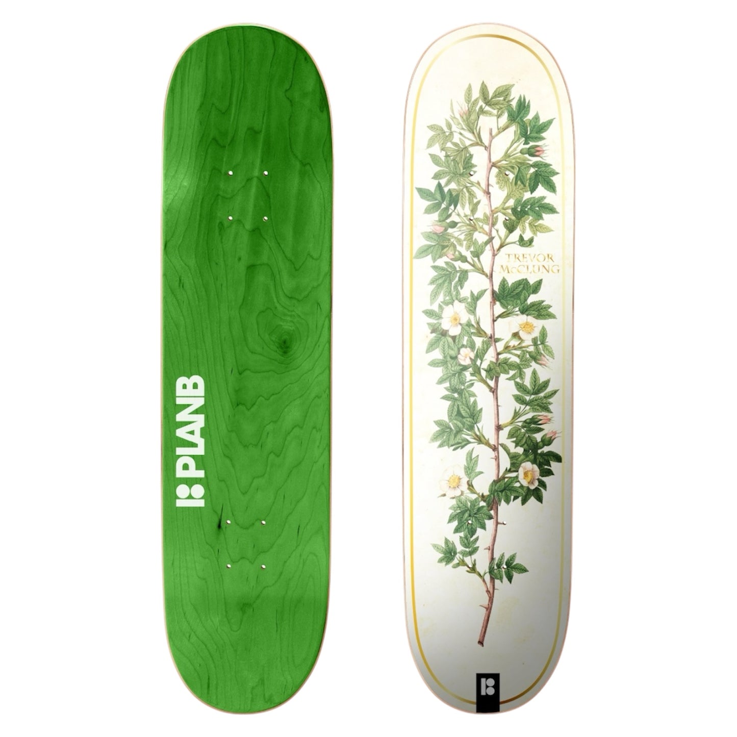 Plan B Bloom Mcclung 8.0″