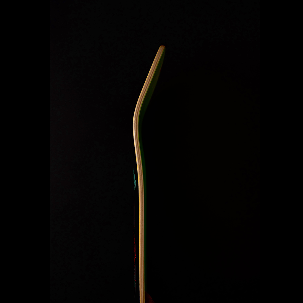 Jellyfish Golondrina