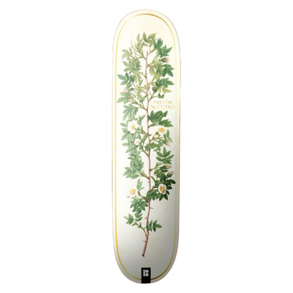 Plan B Bloom Mcclung 8.0″