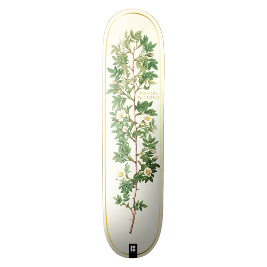 Plan B Bloom Mcclung 8.0″
