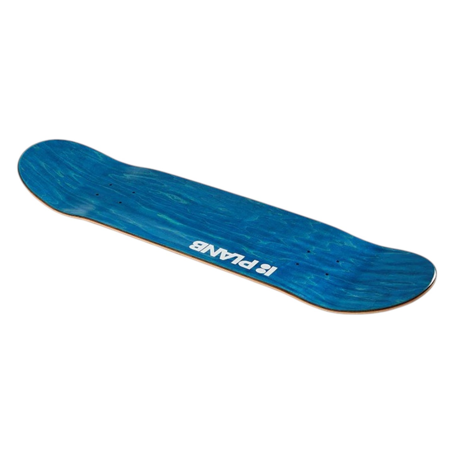 Plan B Surfsterre Selfie 8.25″